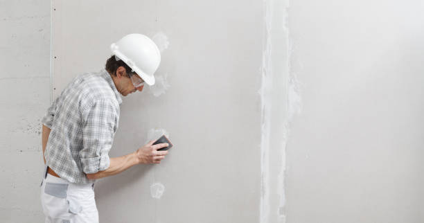 Best Commercial Mold Inspection  in South Lyon, MI