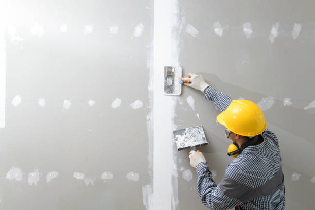 Reliable South Lyon, MI Mold Removal Solutions