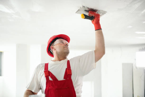 Best Basement Mold Removal  in South Lyon, MI