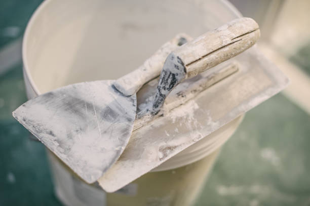 Best Mold-Related Health Consultation  in South Lyon, MI