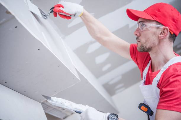 Professional Mold Removal in South Lyon, MI